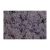 Icelandic moss purple Z195. price tag