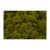 Iceland moss green Z178. price tag