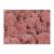 Iceland moss pink Z147. price tag