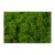 Icelandic moss dark green Z053. price tag