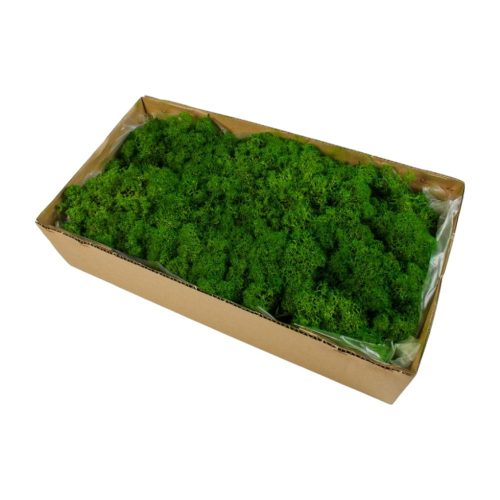 Izlandi zuzmó söt.zöld Z053. árcsop.