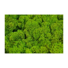 Izlandi zuzmó vil.zöld Z054. árcsop.