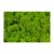 Icelandic moss light green Z054. price tag
