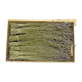 Levendula angol natúr Z154. árcsop.