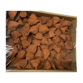 Lotus kicsi 4-6cm falfestékes vil.barna Z374. árcsop.