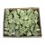 Lotus small 4-6cm wall paint-like light green Z375. price tag