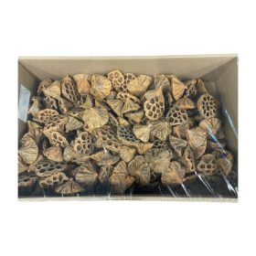 Lotus közepes 6-8cm viaszos narancs Z378. árcsop.