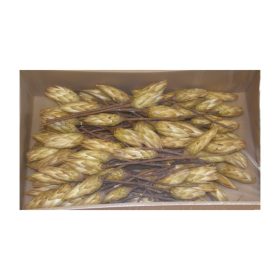 Protea sárga bimbó natúr Z089. árcsop.