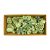 Waxy mixed fruits green Z328. price tag