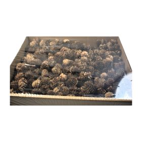 Vörösfenyő toboz kínai natúr Z409. árcsop.