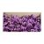 Wildlilie wall paint-like blackberry Z130. price tag 120 pcs/pack