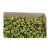 Wildlilie wax pale green Z135. price tag 120 pcs/pack