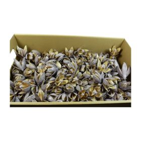 Wildlilie viaszos lila Z136. árcsop. 120db/krt