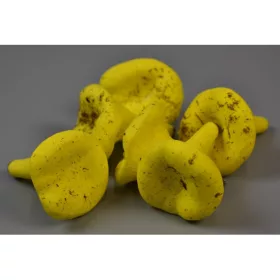 Betűző gomba róka 4,5cm sárga