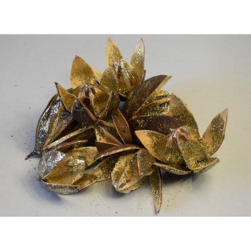 Wildlilie glitteres pezsgő