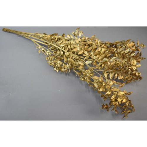 Ruscus arany