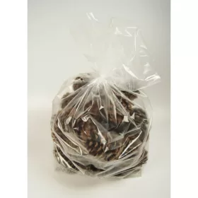 Pinus maritima toboz 1kg natúr