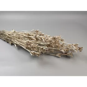 Nigella orientale 100g pezsgő