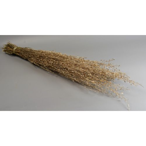 Lepidium atraxa 100g pezsgő