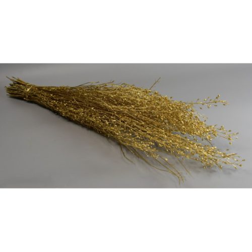 Lepidium atraxa 100g arany