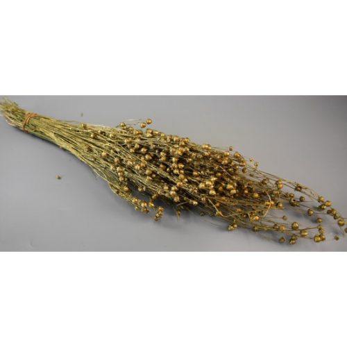 Len 100g arany