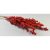Ilex 60cm piros