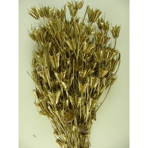 Nigella orientale 100g arany