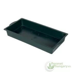 OASIS decor bowl WHOLE 1/1 GREEN