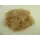 Toll 10g/cs barna