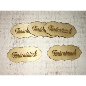 "Tanárnéninek" tábla 5db/csomag