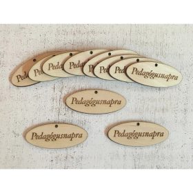   Natúr fa "Pedagógusnapra" ovál táblák 10db/csomag