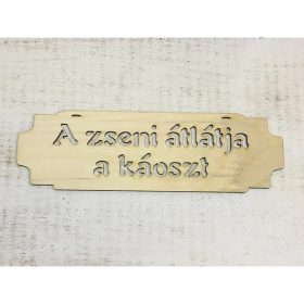 "A zseni átlátja a káoszt" tábla