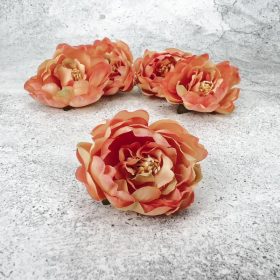 Bababrózsa fej - cirmos barack 5db/cs