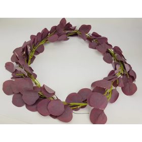 Kereklevelű futó eukaliptusz 2m - PADLIZSÁN