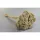 Achillea falfestékes fehér