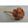 Achillea prep. hamvas narancs