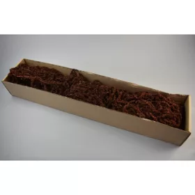 Amaranthus caudatus prep. barna 2x0,2kg