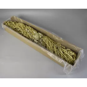 Amaranthus caudatus prep. hamvas mohazöld 2x0,2kg