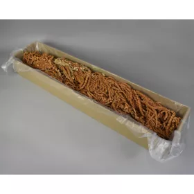 Amaranthus caudatus prep. hamvas narancs 2x0,2kg