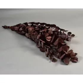 Eukalyptus levél ezüst dollár prep. bordó