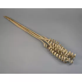 Cane Spring natúr