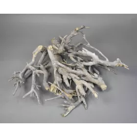 Curry bush 30-45cm zúzmarás