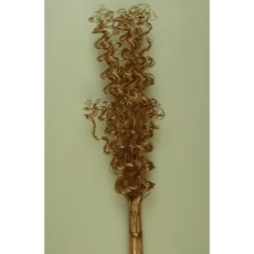 Twisted tamboo bronz