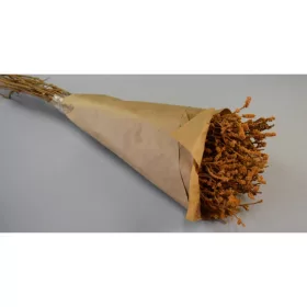 Sivatagi gyapot 150g papírban prep.narancs