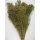 Broom Bloom 100g natúr