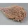 Broom Bloom 100g falfestékes rózsaszín