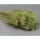 Broom Bloom 100g falfestékes vil.zöld