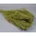 Broom Bloom 100g falfestékes olíva