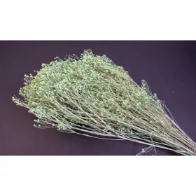 Broom Bloom 100g falfestékes aqua