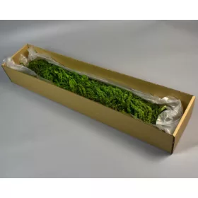 Amaranthus caudatus prep. feh.vil.zöld 2x0,1kg